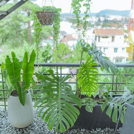 Hilly Hostel Da Lat Dış mekan fotoğraf